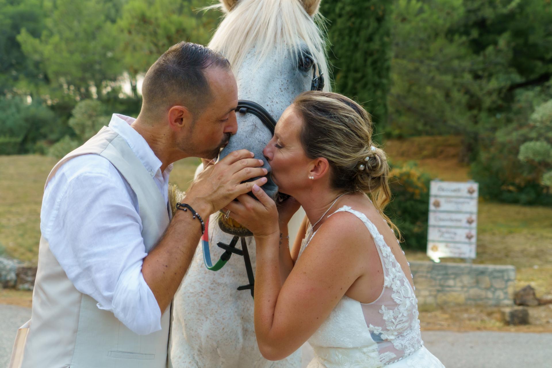 V2L PHOTOGRAPHIE CALVET - Photo 21