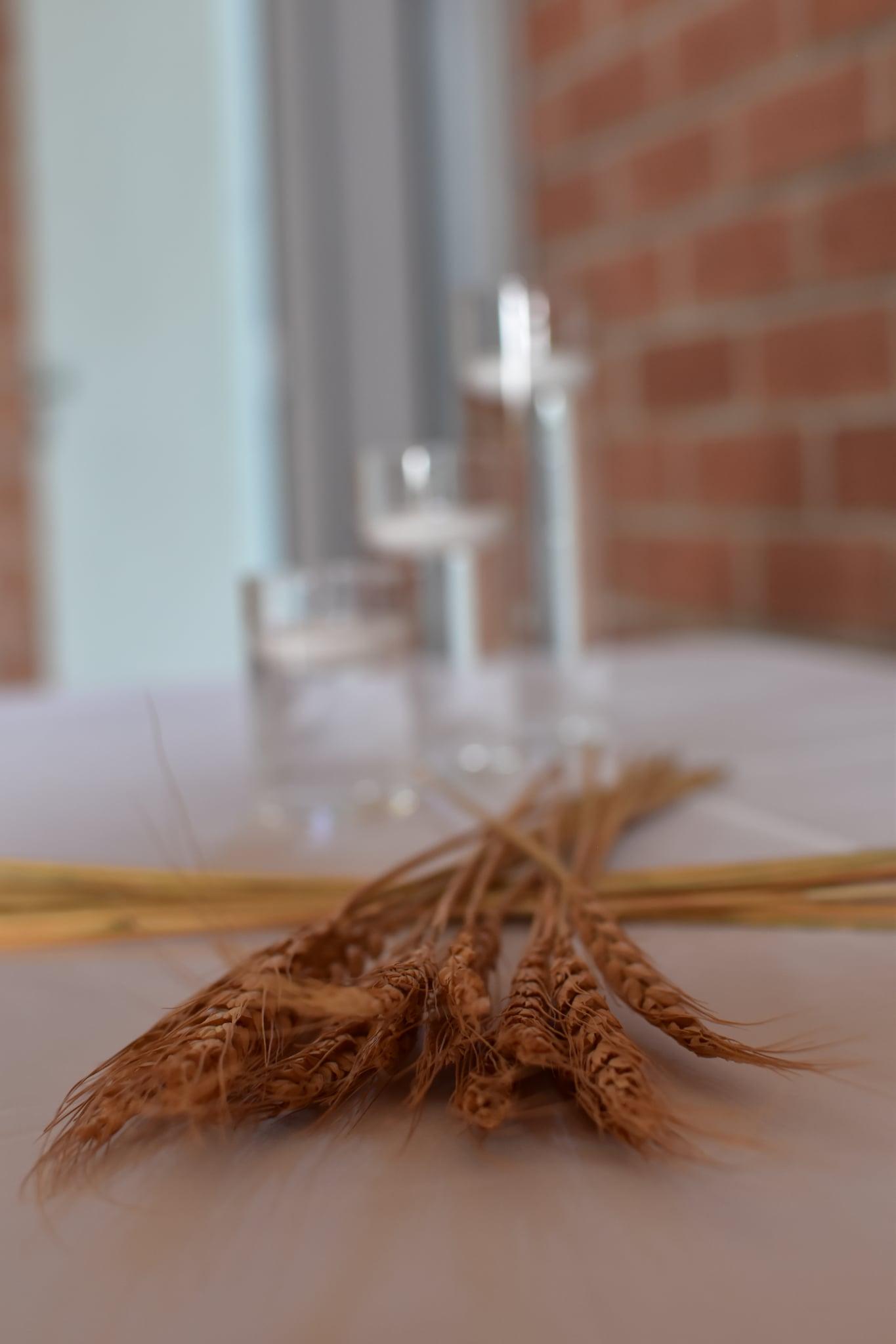 L'oeil éphémère  - Photo 7