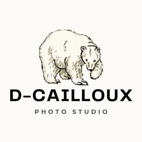 D-cailloux-photo 