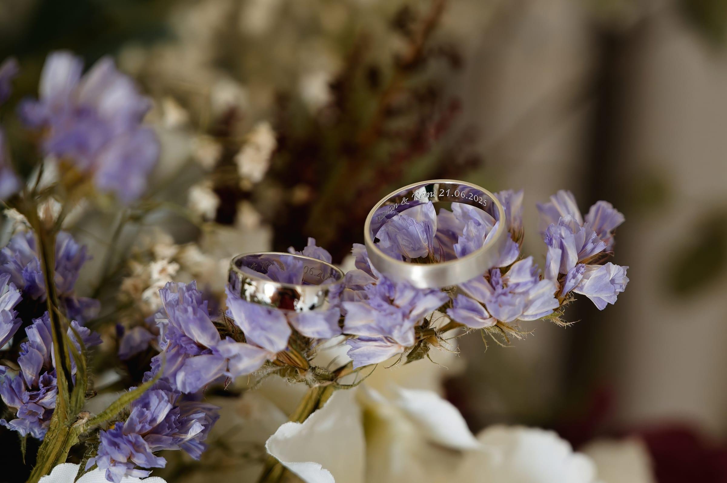 Hakuna Matata Photographie