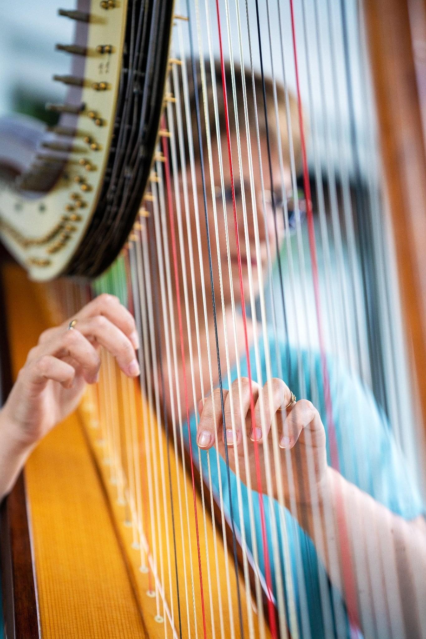 Catherine Dubois Harpe Prestige  5