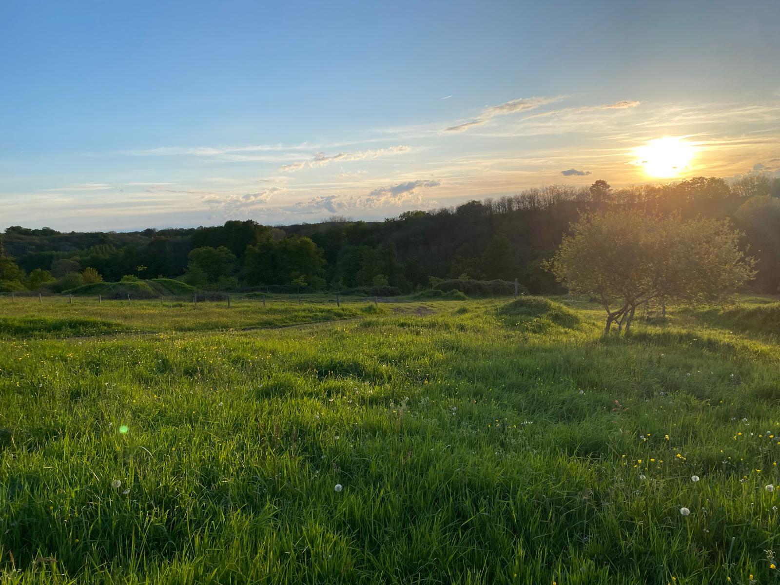 Domaine de la Vallée Verte