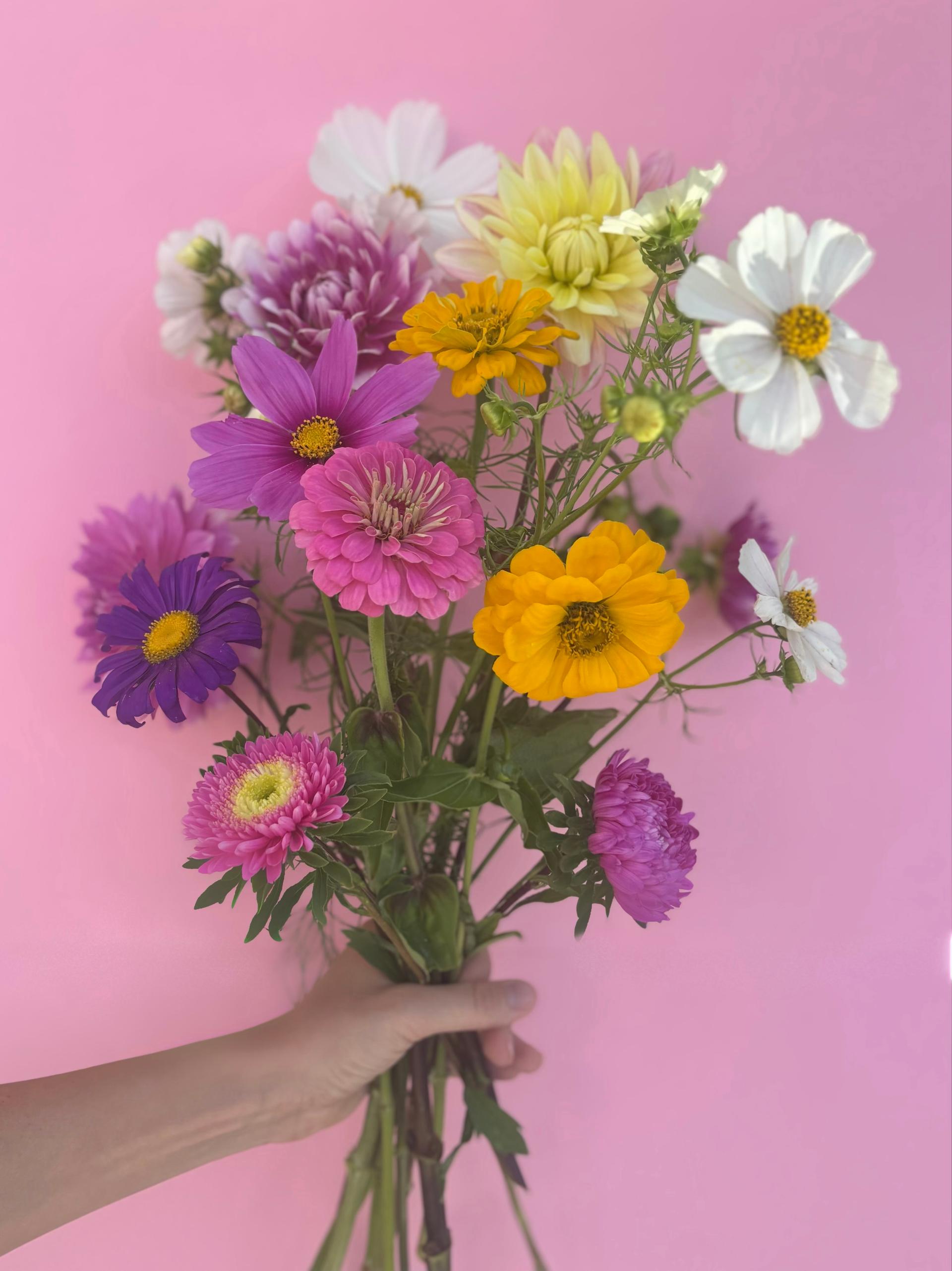 STUDIO FLEURS - Photo 6