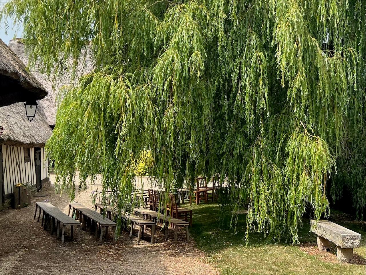 MANOIR HENRI IV - Photo 11