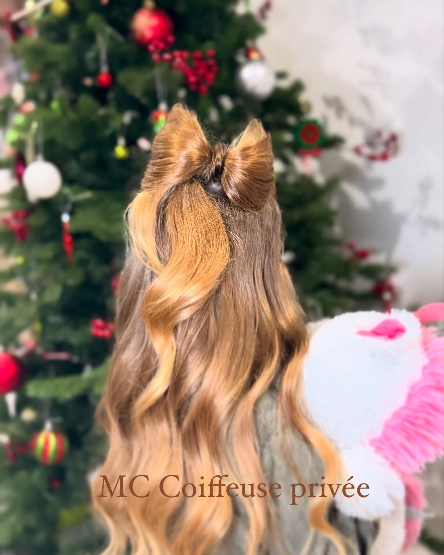 MC Coiffeuse Privée  4
