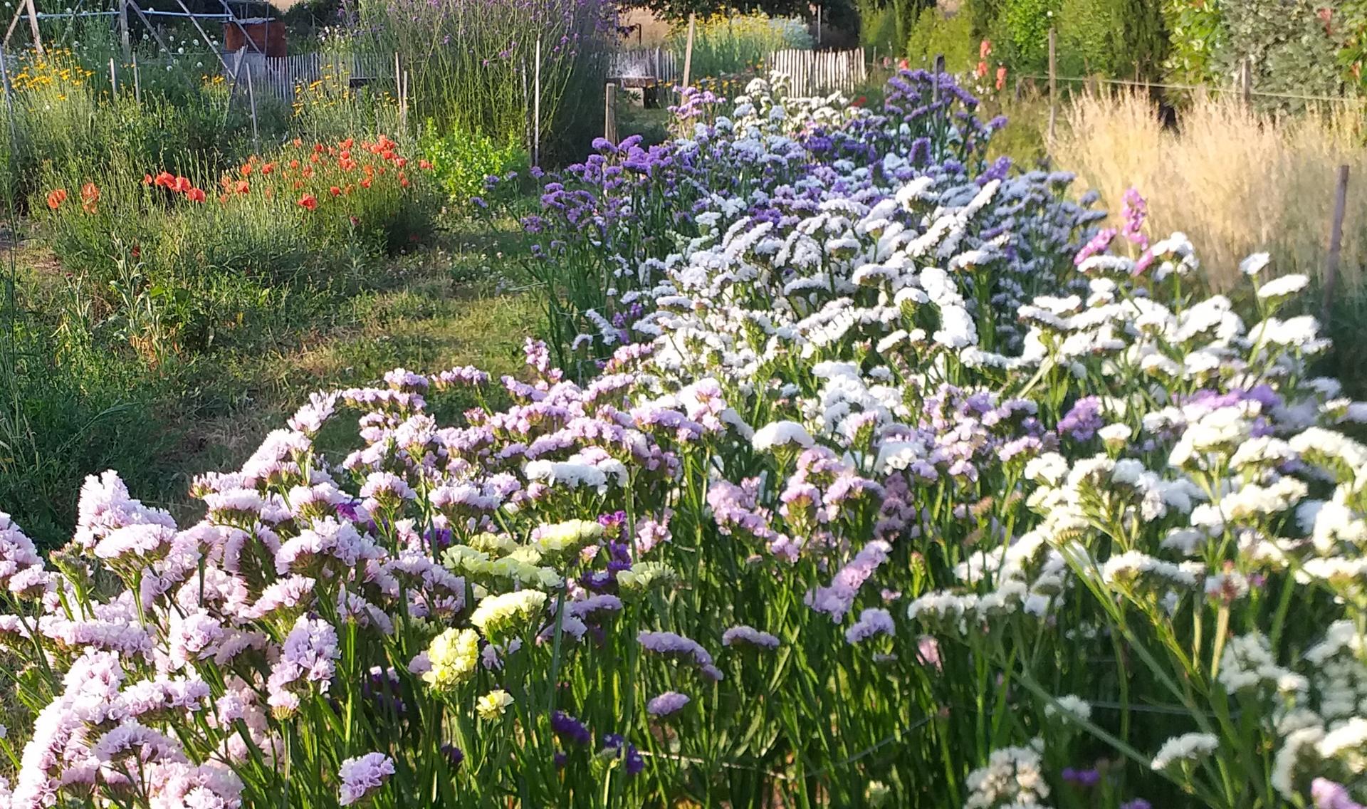 Beauchamp Ferme à Fleurs