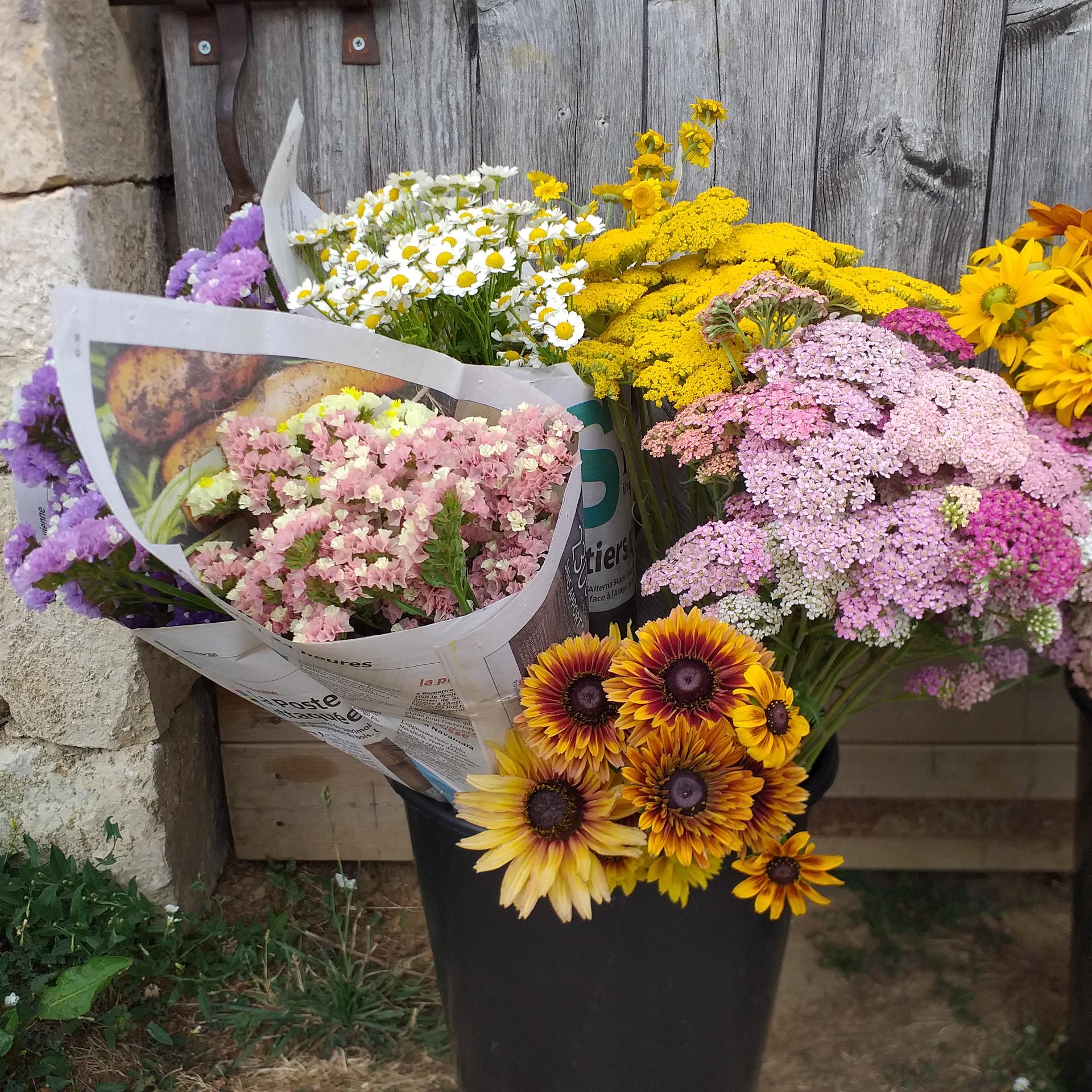 Beauchamp Ferme à Fleurs - Photo 8