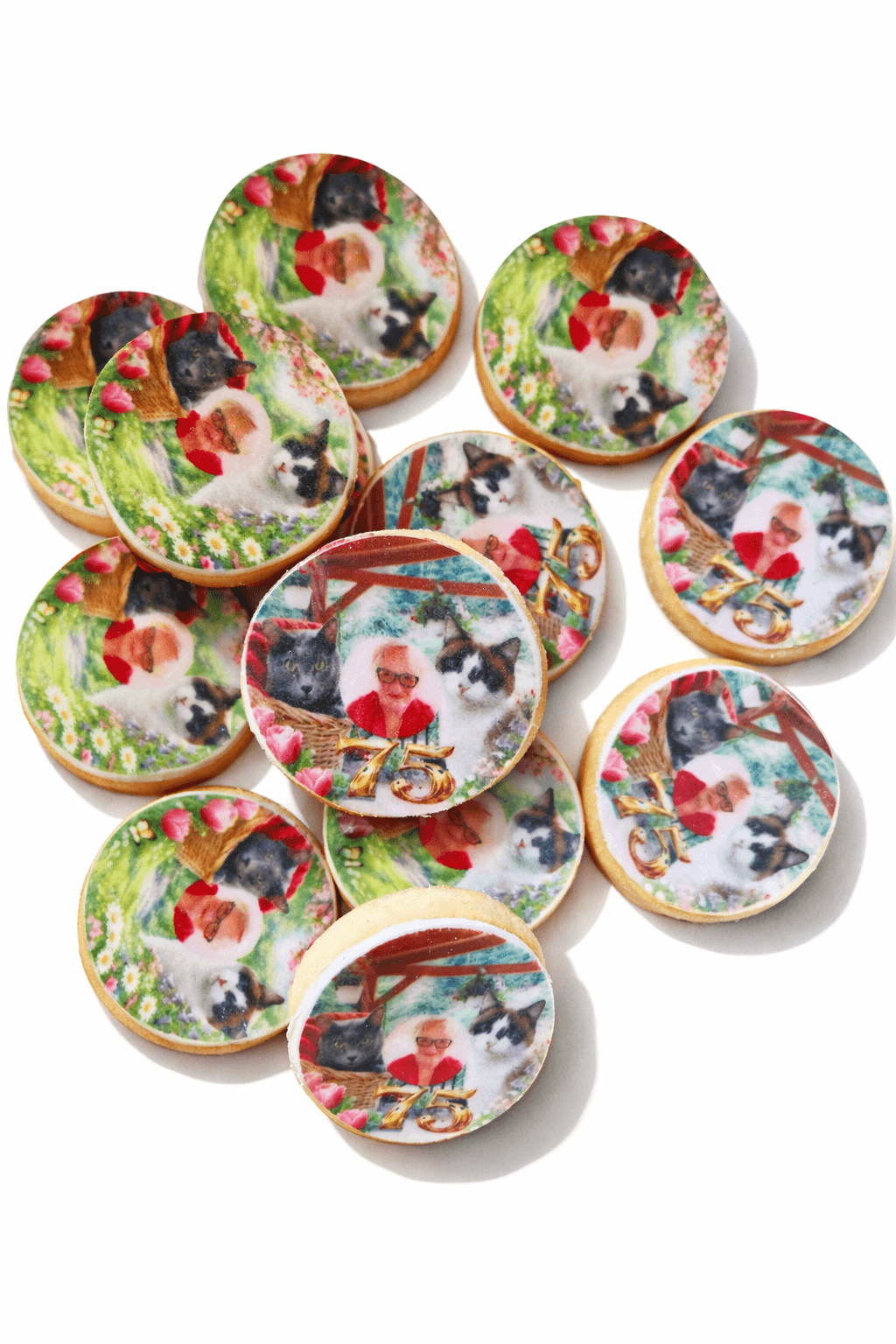 Le petit loup gourmand  - Photo 7