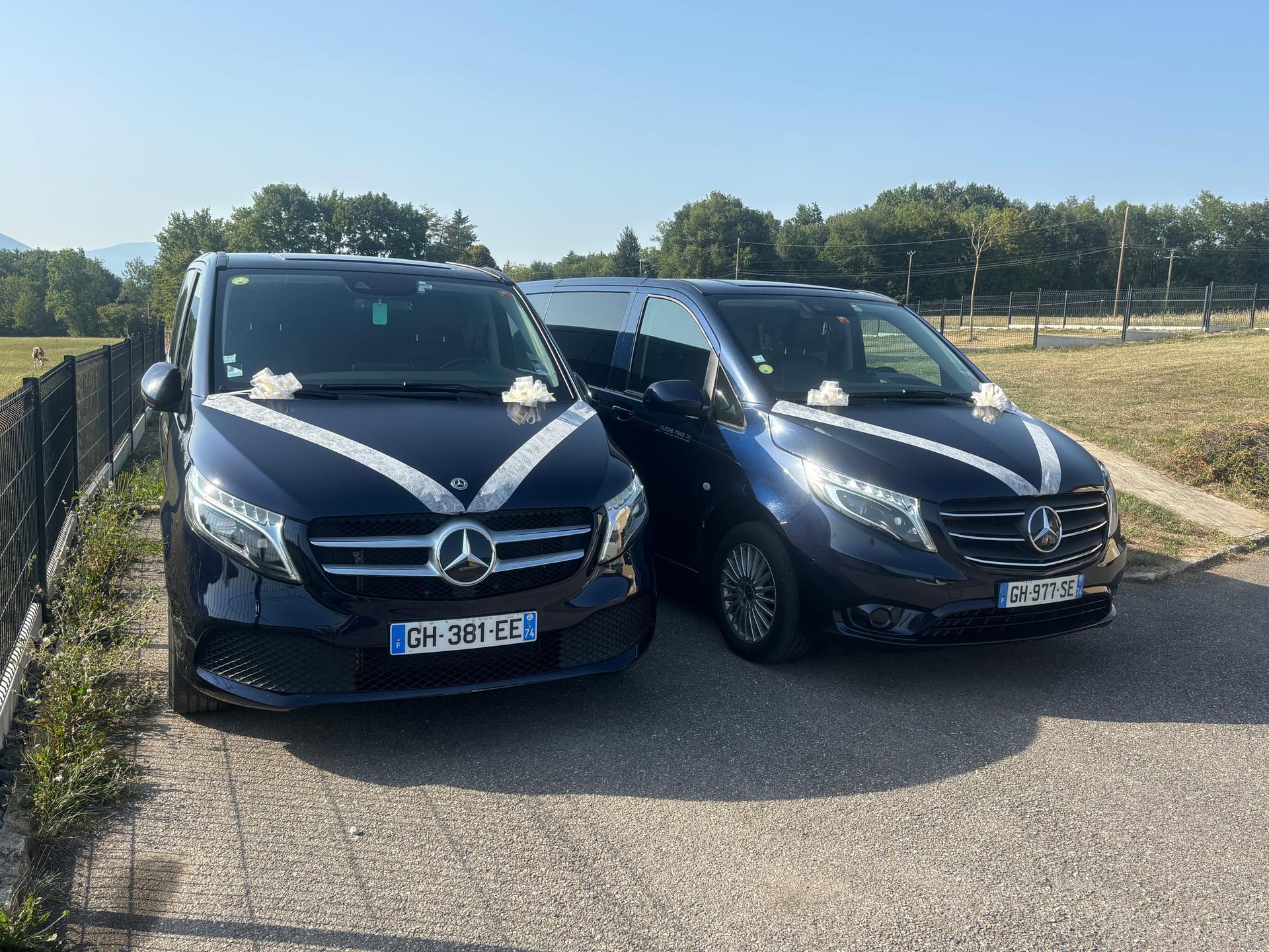 Flèche taxis 74 - Photo 2