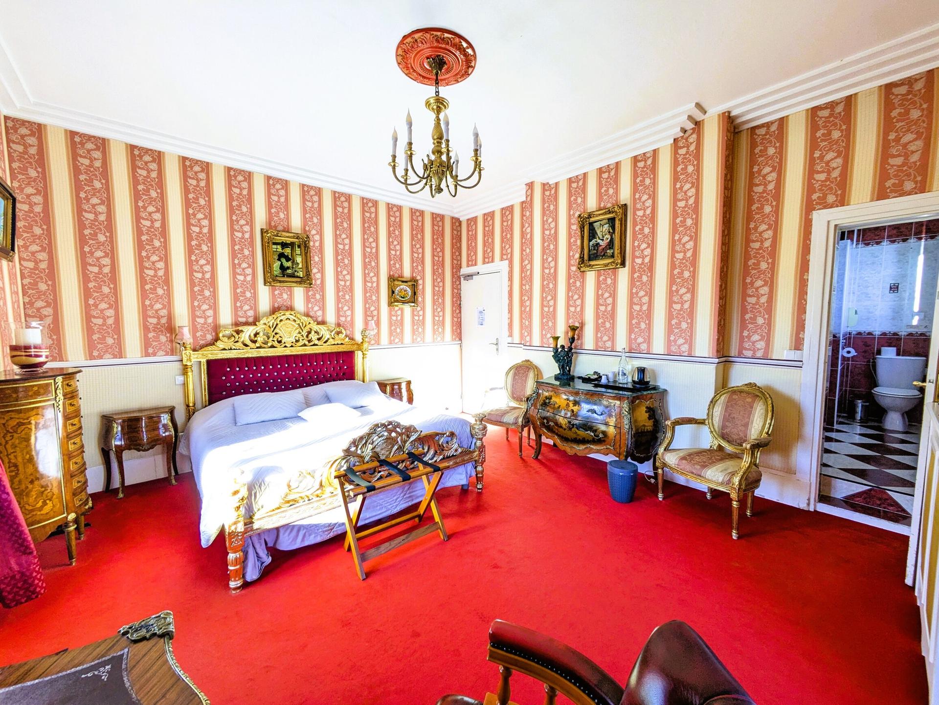 CHATEAU DE QUESMY - Photo 6