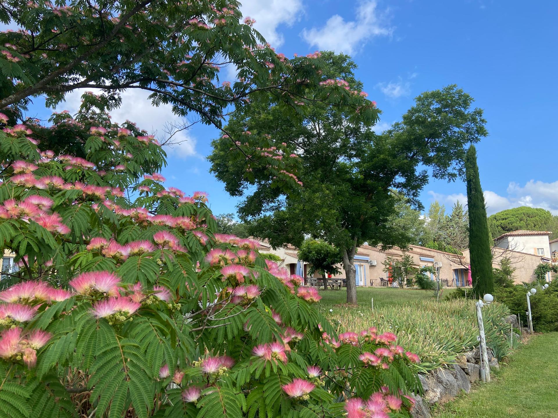 Domaine de la Begude à Fayence - Photo 5
