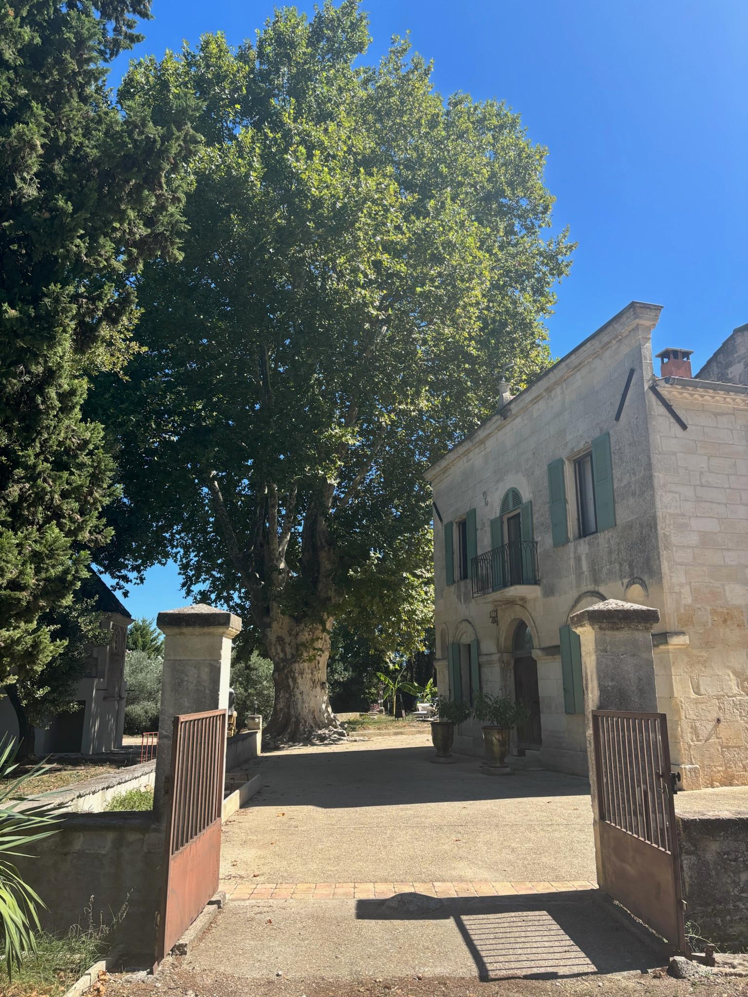 Domaine Moulin du Temple - Photo 5