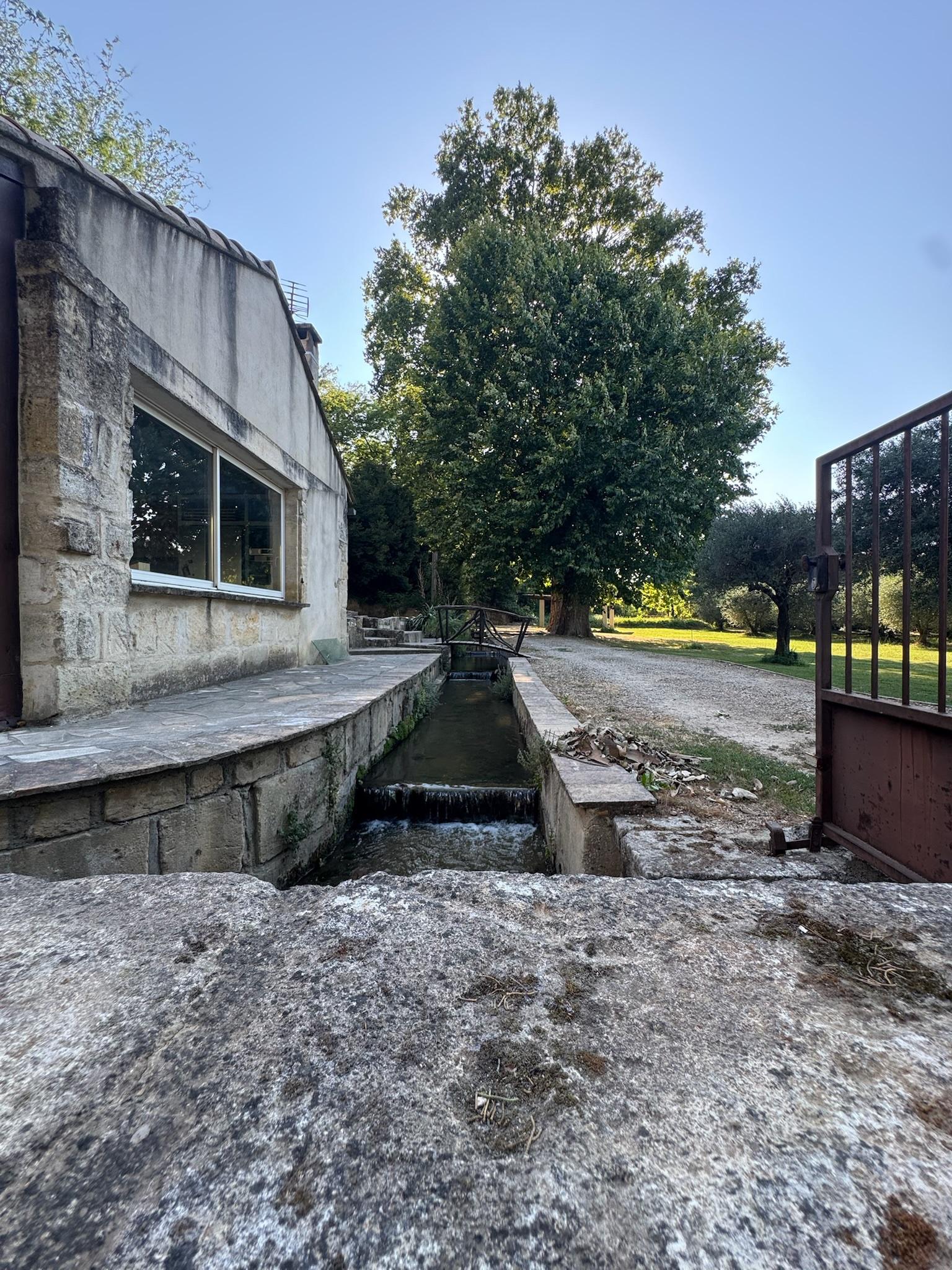 Domaine Moulin du Temple - Photo 8