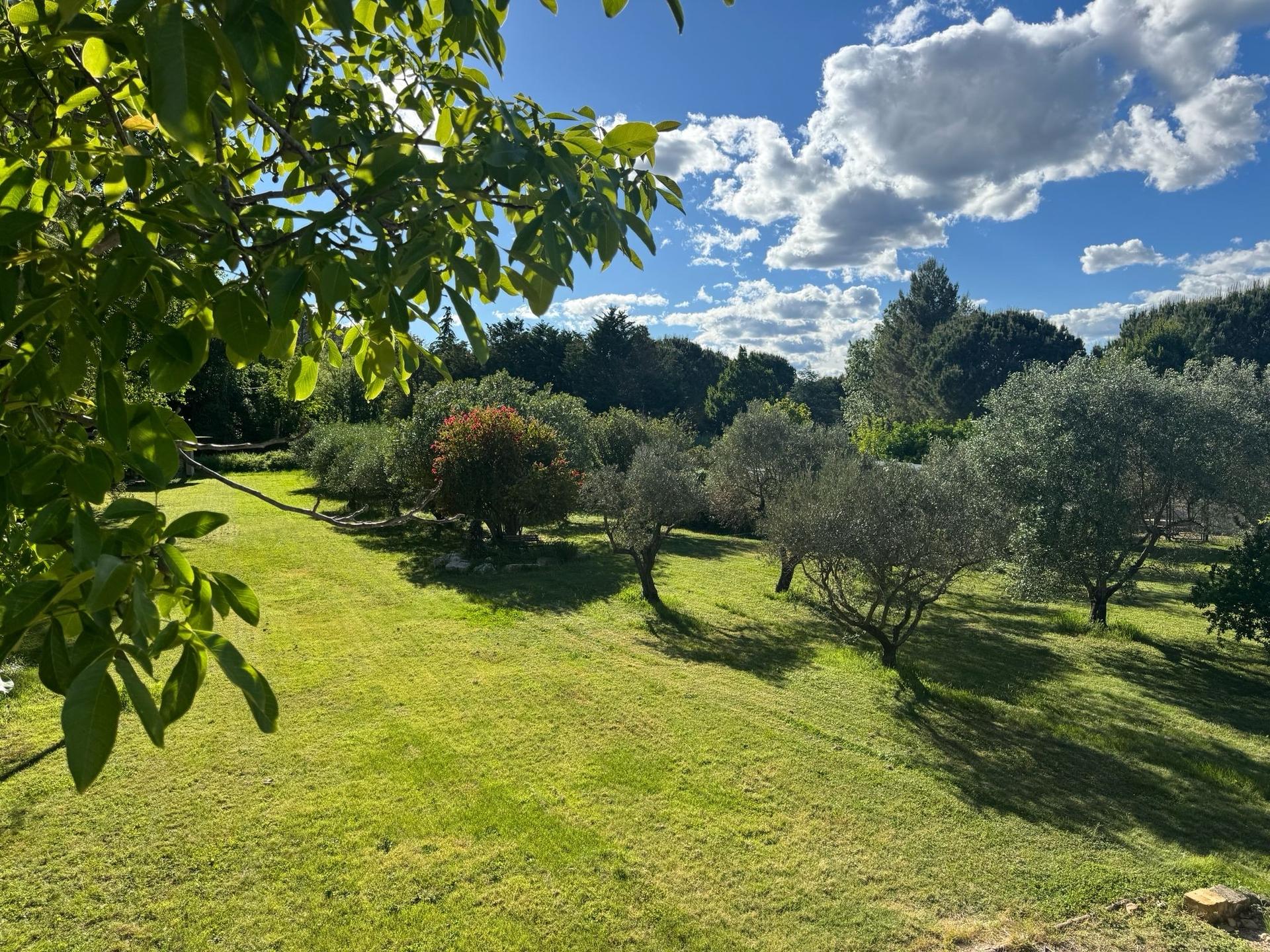 Domaine Moulin du Temple - Photo 10