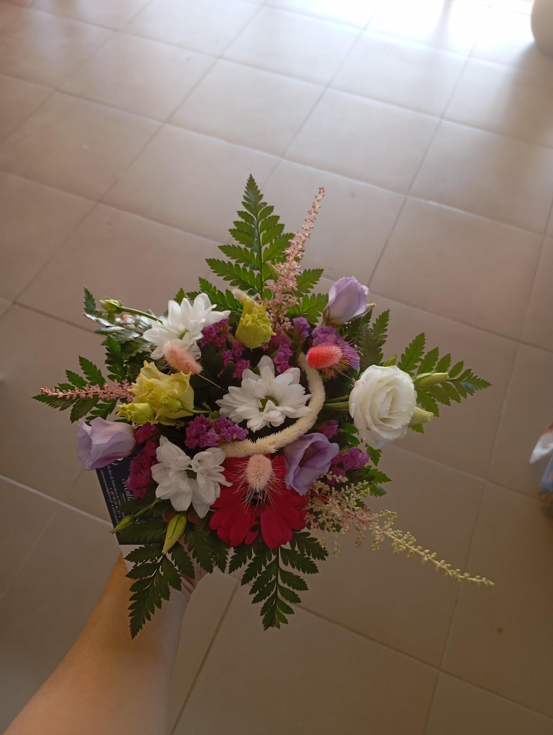 Matlo'fleurs  - Photo 2