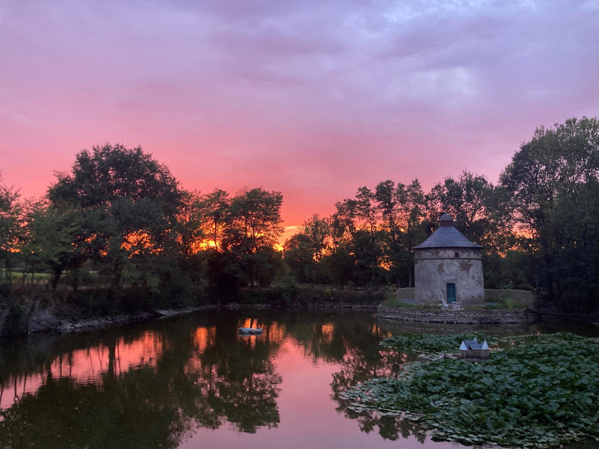 Château de la Preuille - Photo 9