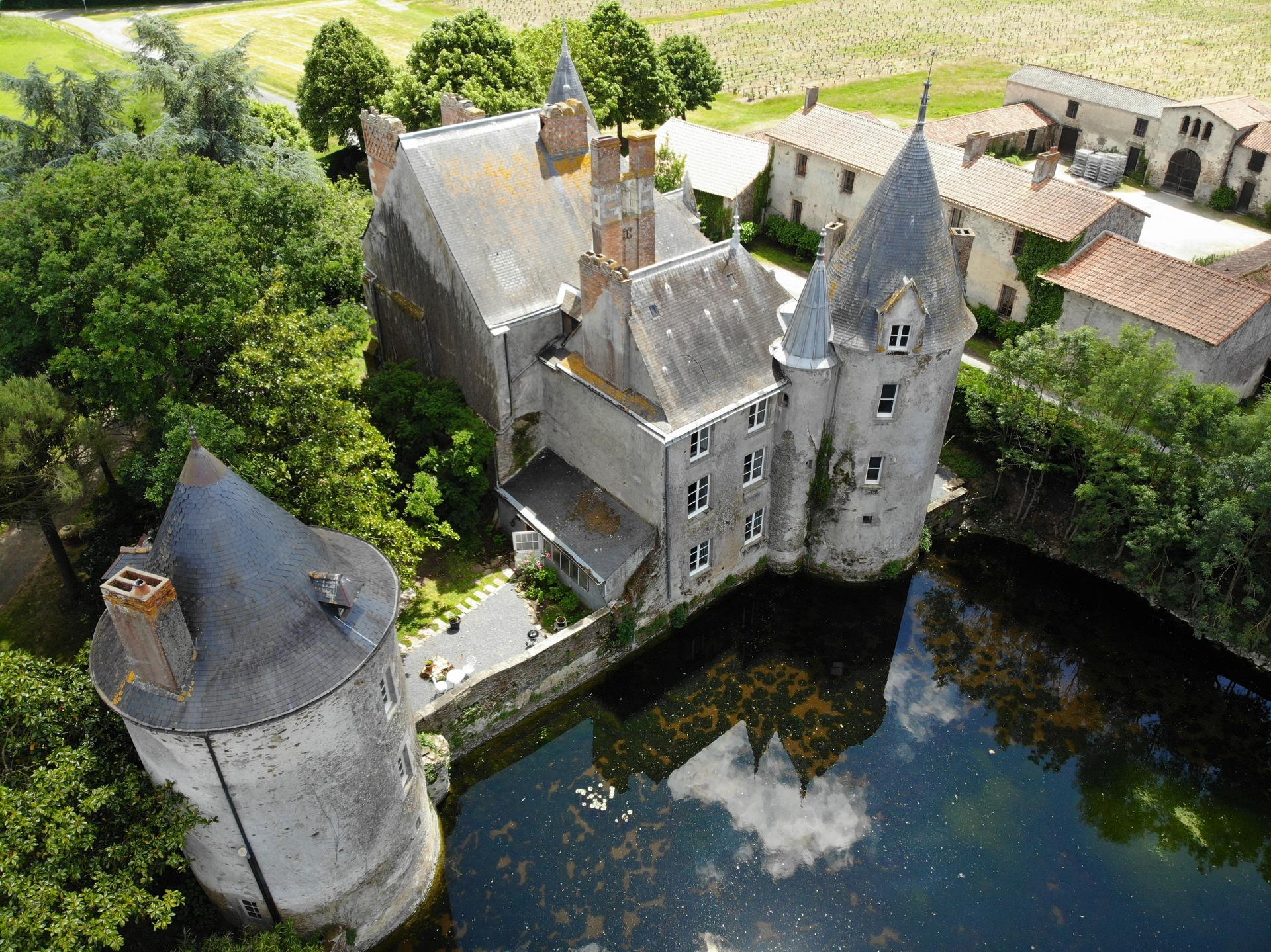 Château de la Preuille - Photo 10
