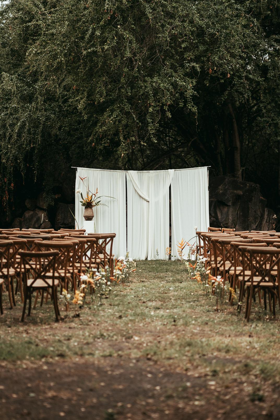 Eden Bird  - Photo 5