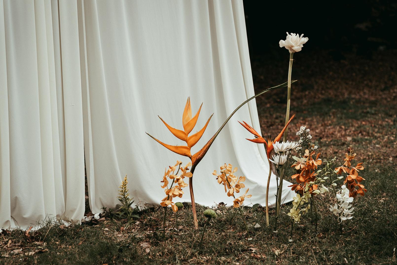 Eden Bird  - Photo 6