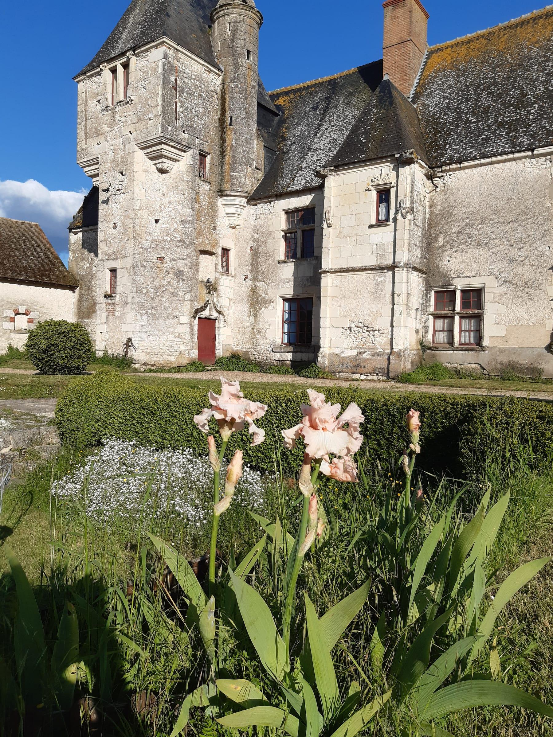 Château de Chémery - Photo 2