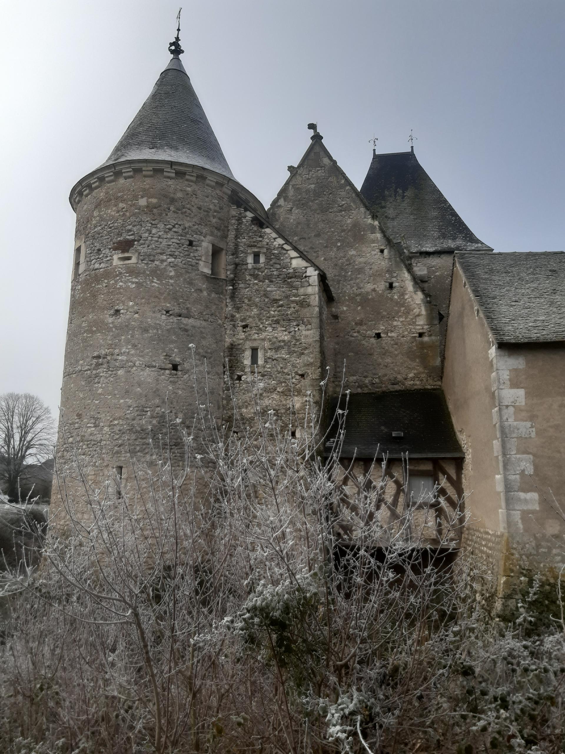 Château de Chémery - Photo 10