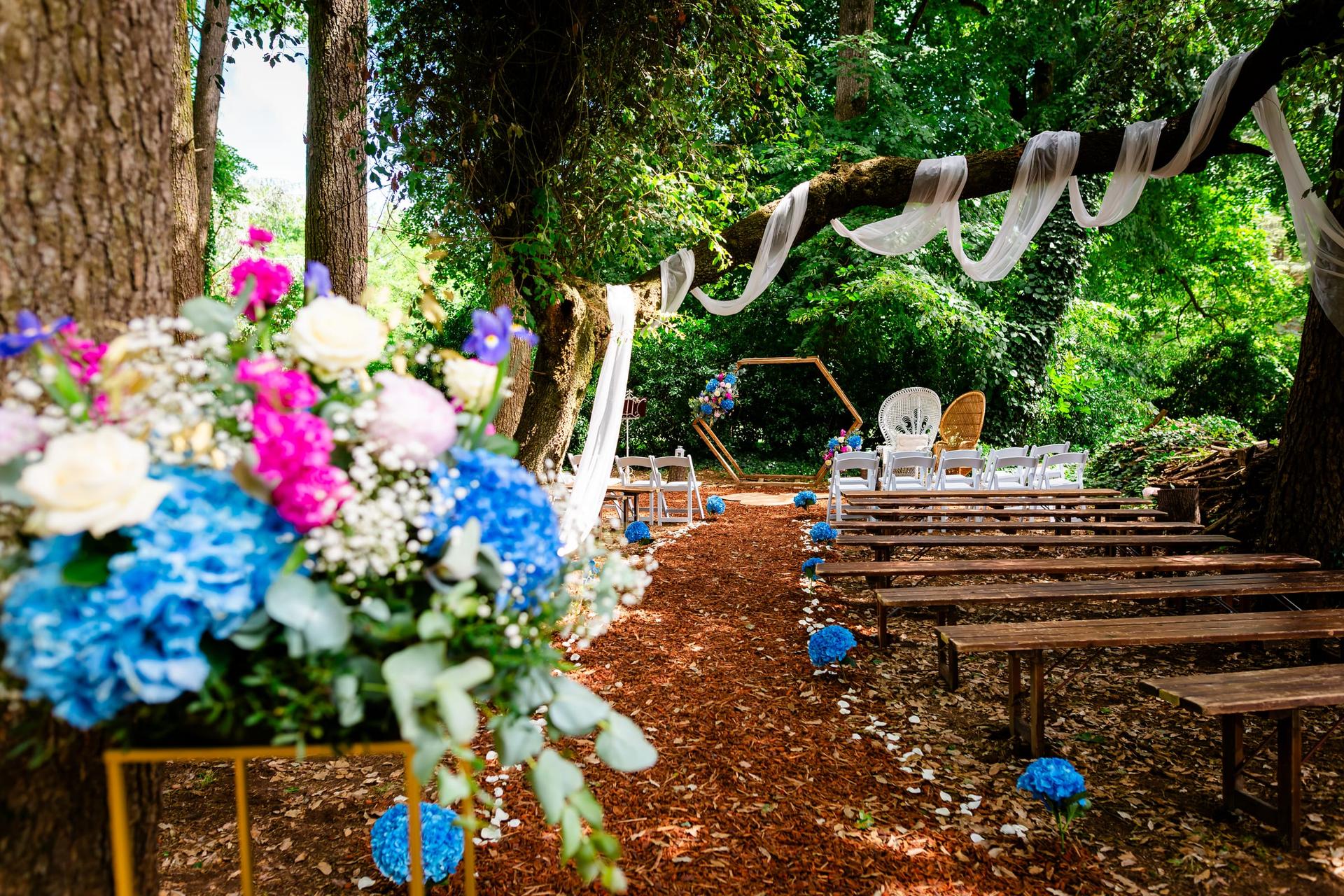 Domaine de la Mazure - Photo 4