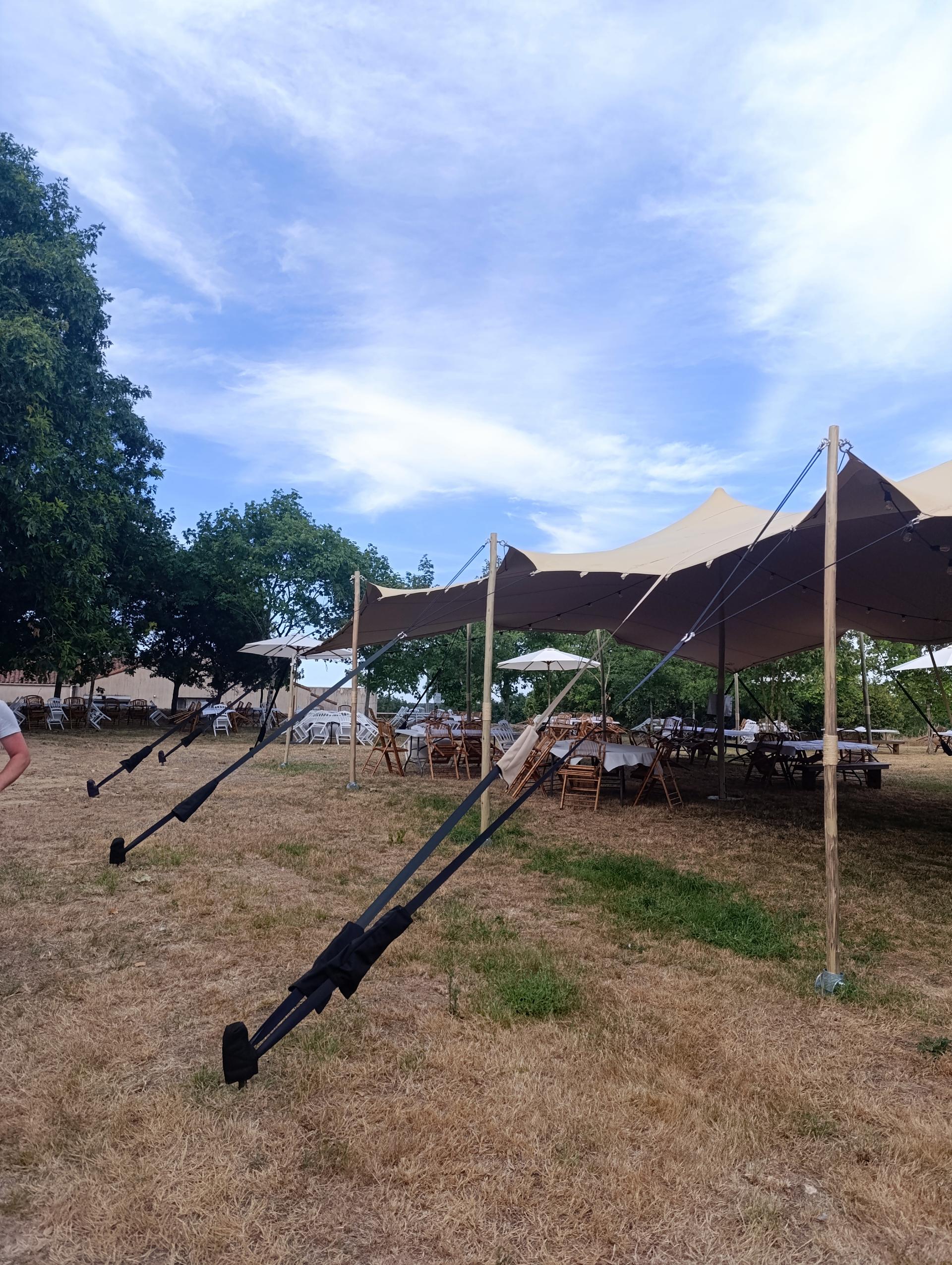 SAS Abbaye de Meslay - Photo 4