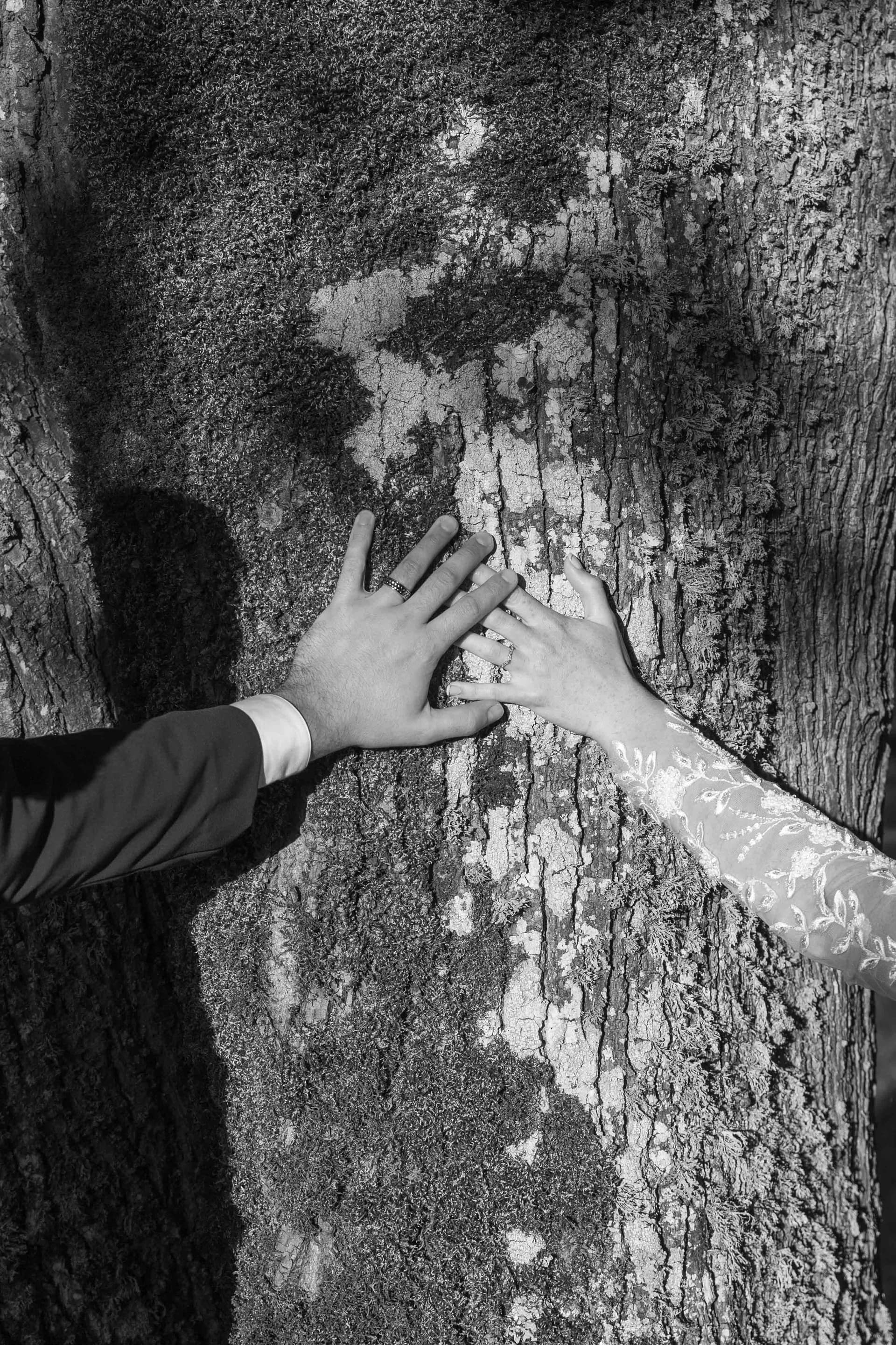 Eric Lahurte photographe - Photo 4