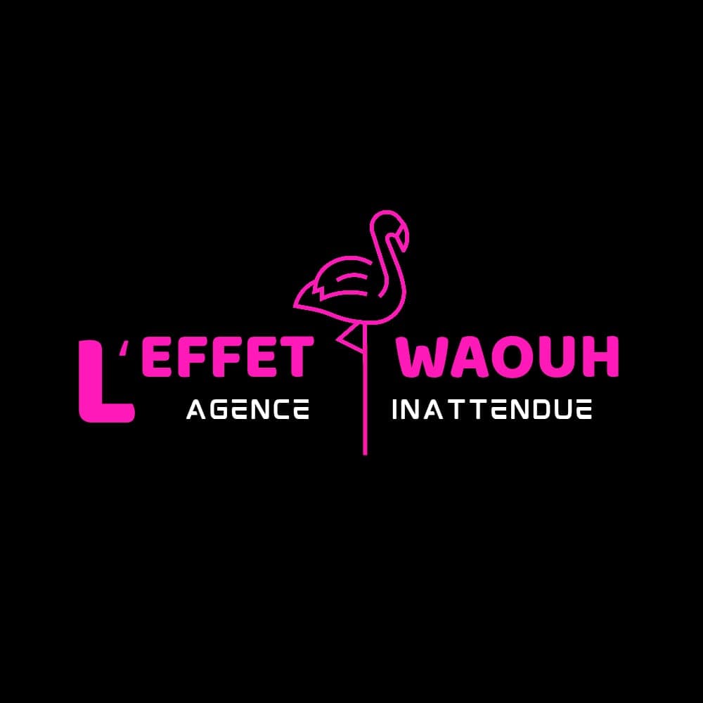 L'Effet Waouh - Photo 4