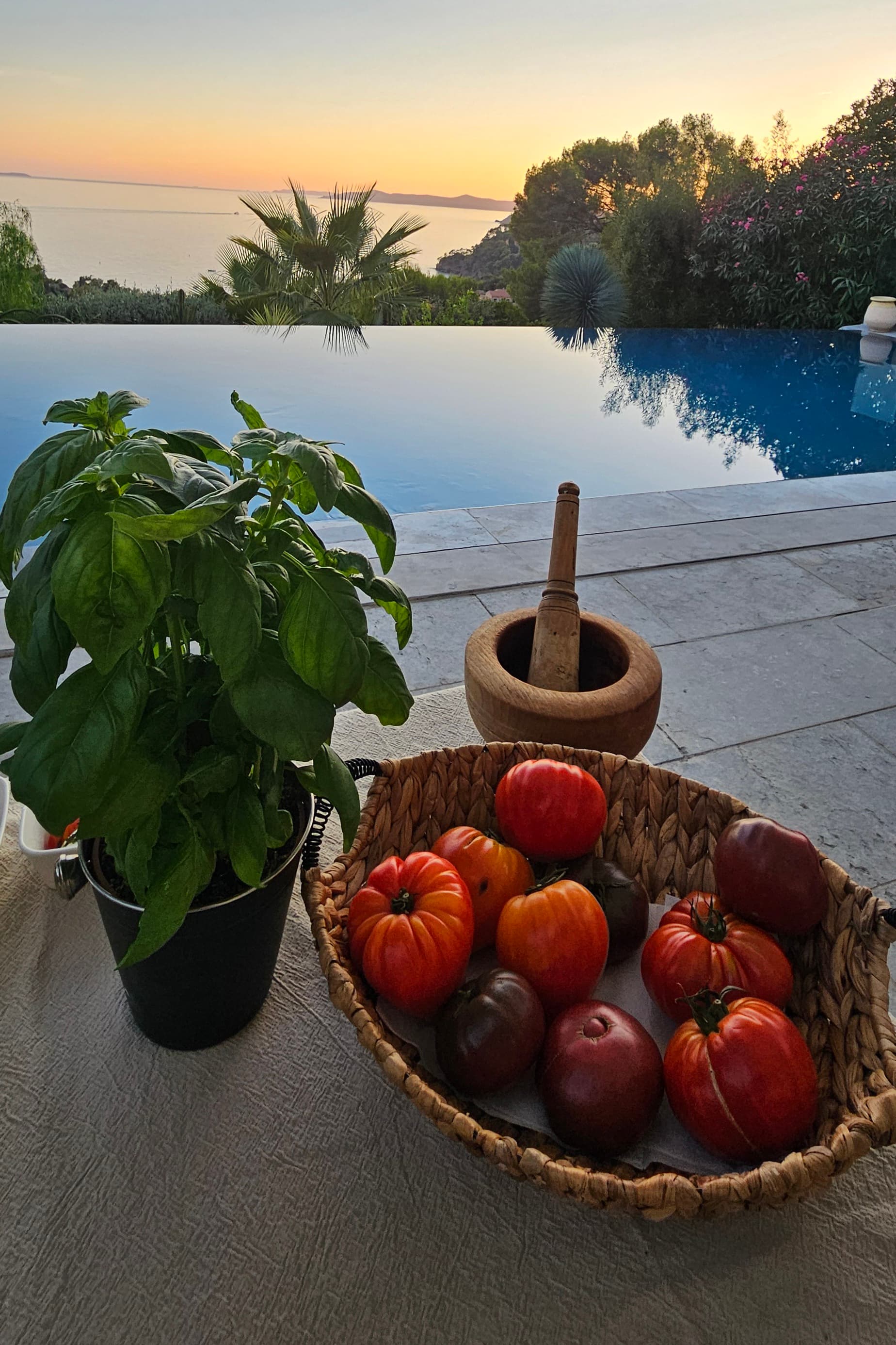 Ma Campagne Provençale - Photo 3