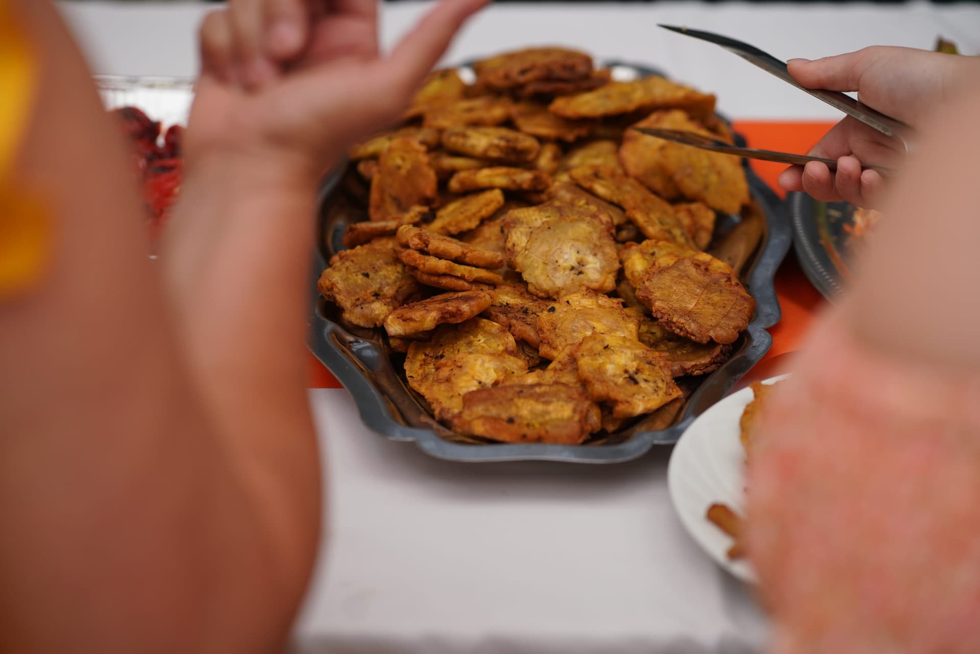 Fifi food - Photo 5