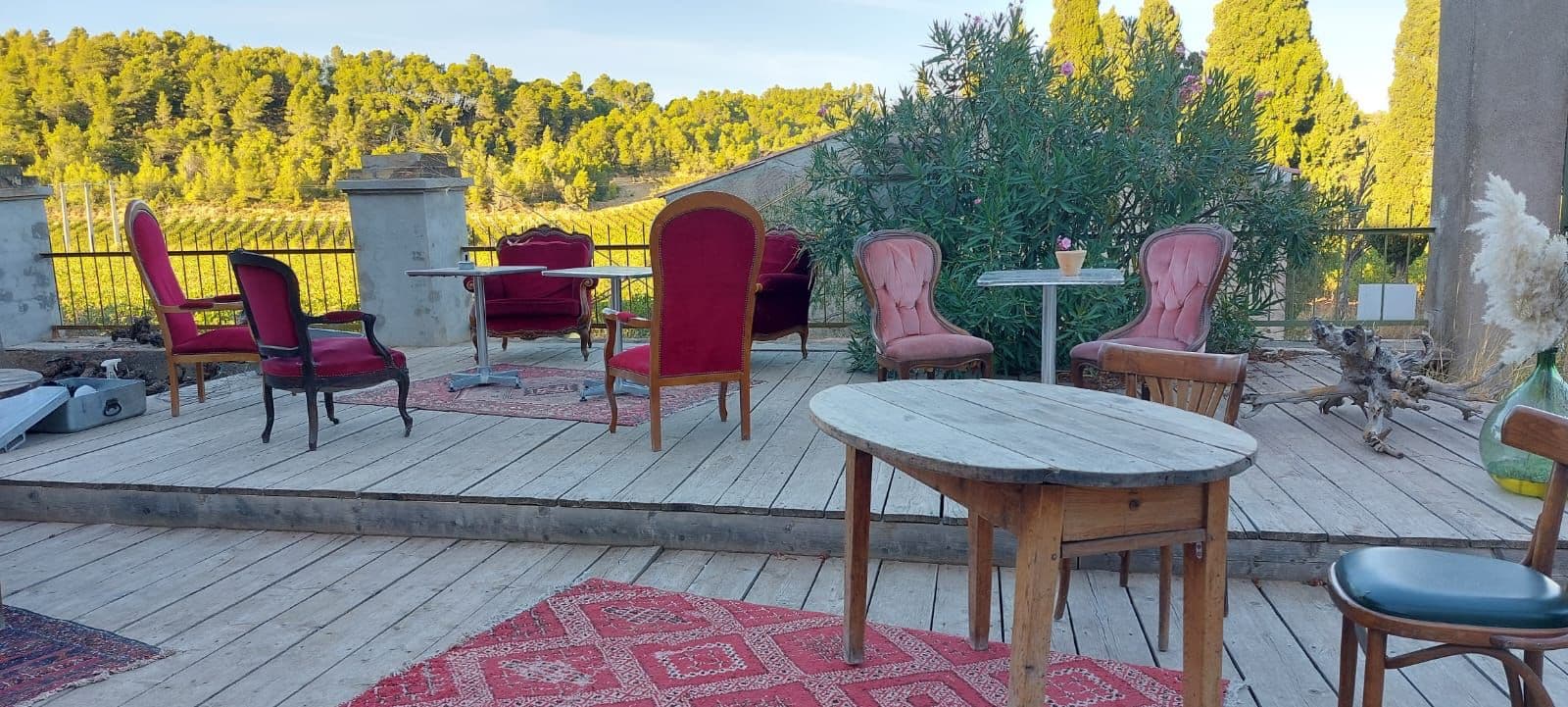 Domaine du grand sauvage - Photo 4