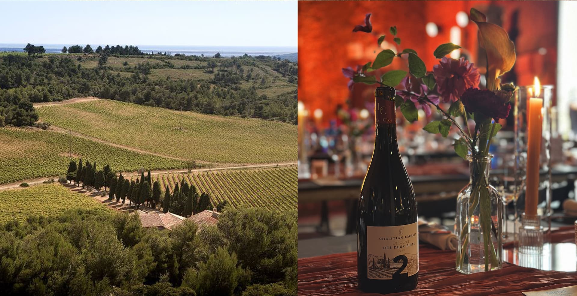 Domaine du grand sauvage - Photo 5