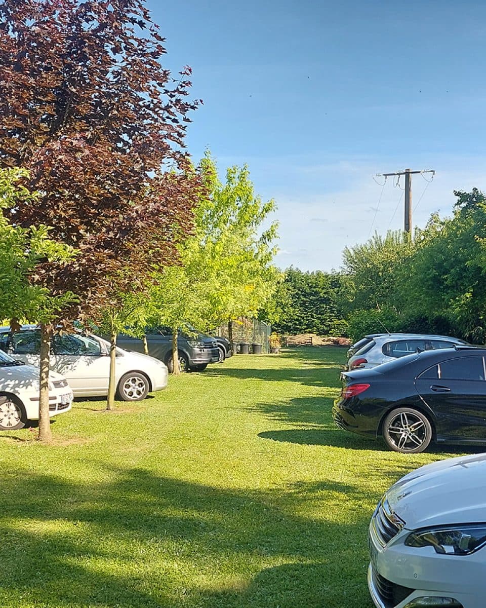 Le domaine du grand cédre Averdon - Photo 8