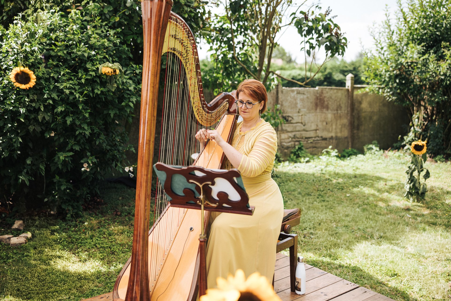 Catherine Dubois Harpe Prestige  à Waziers