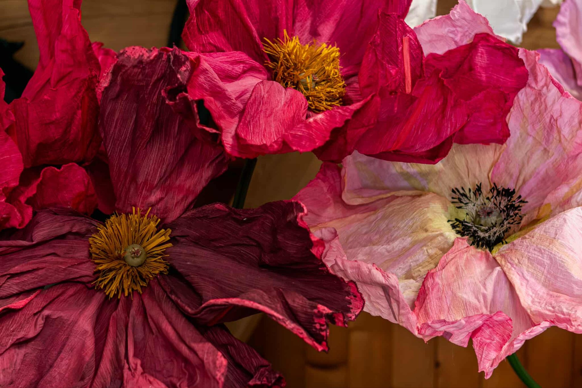 Les Flores d'Isariel  à Chignin
