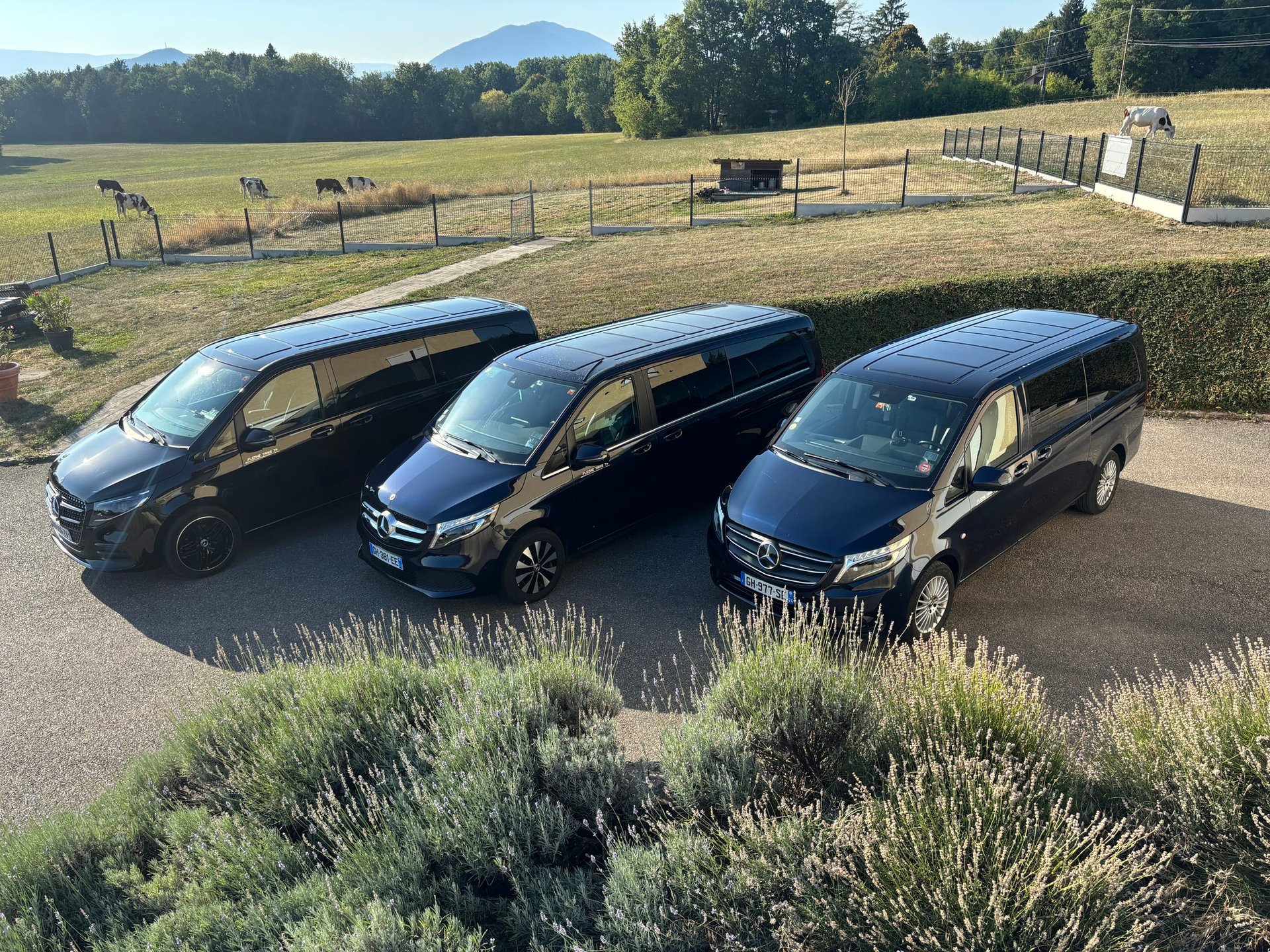 Flèche taxis 74 à Choisy