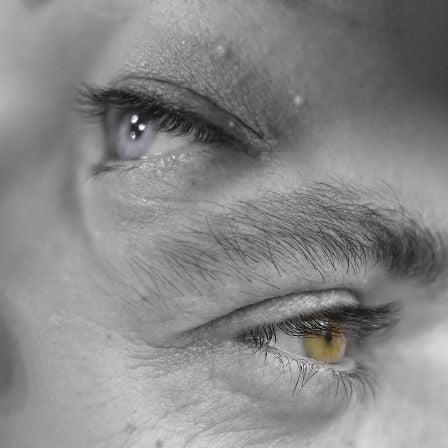 L'oeil éphémère 3