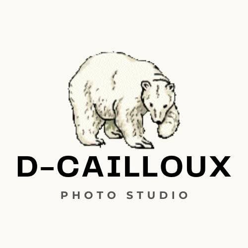 D-cailloux-photo à BOUROGNE