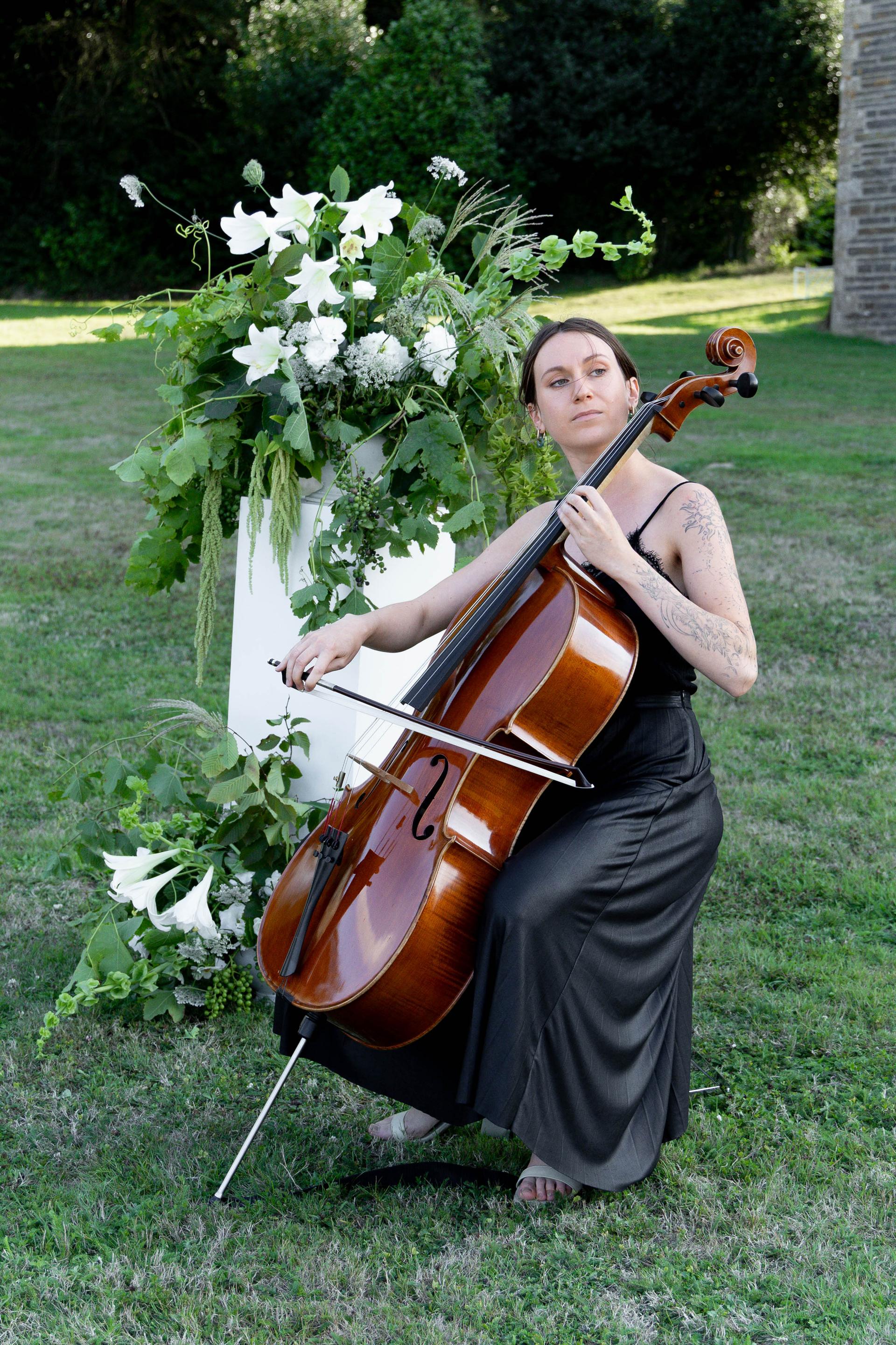 CelloPhonies 5