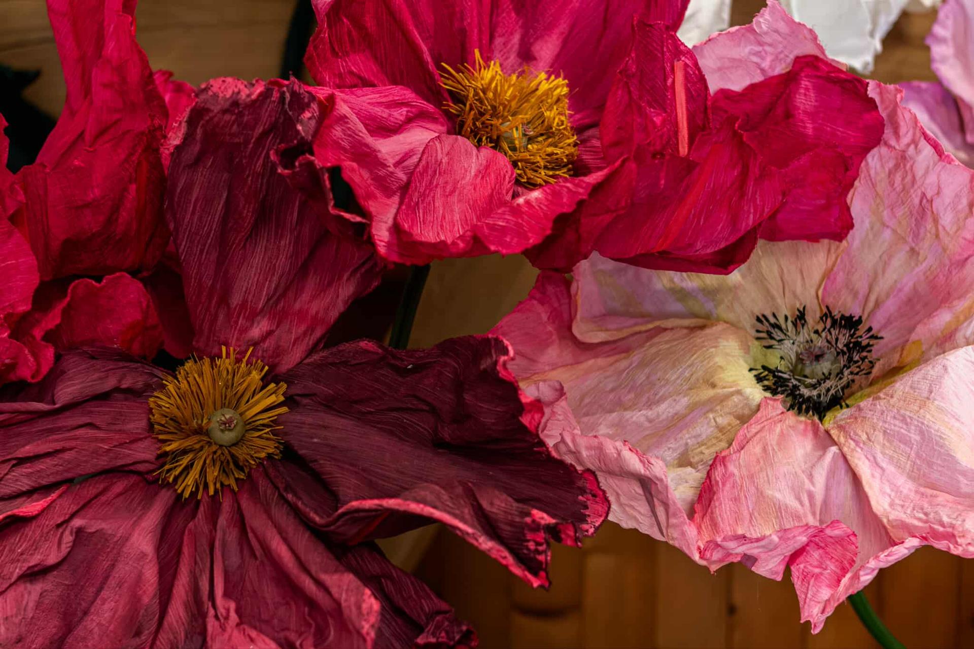 Les Flores d'Isariel