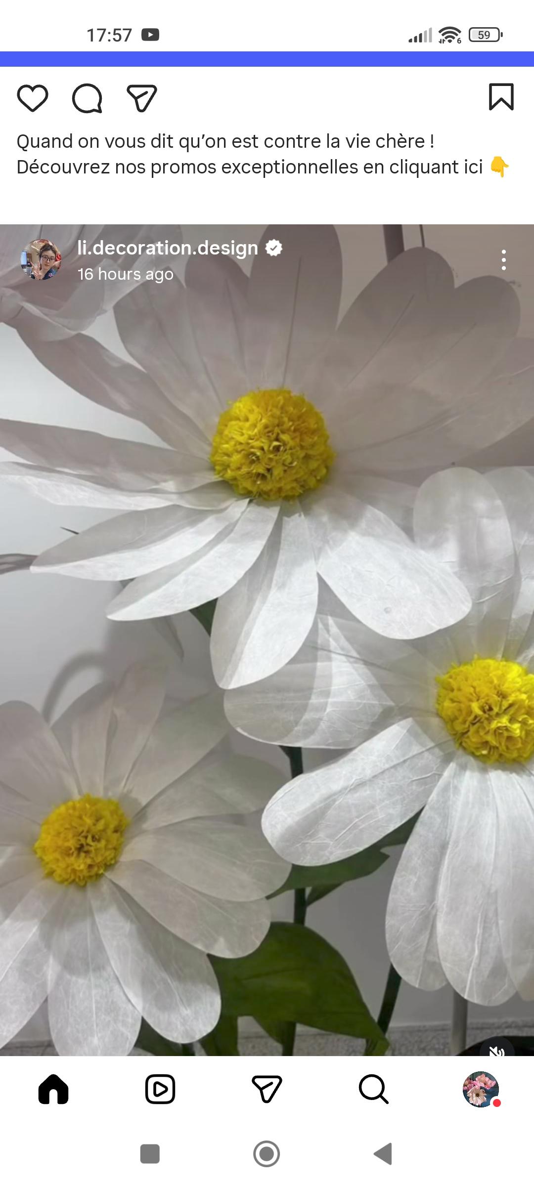 Les Flores d'Isariel 3