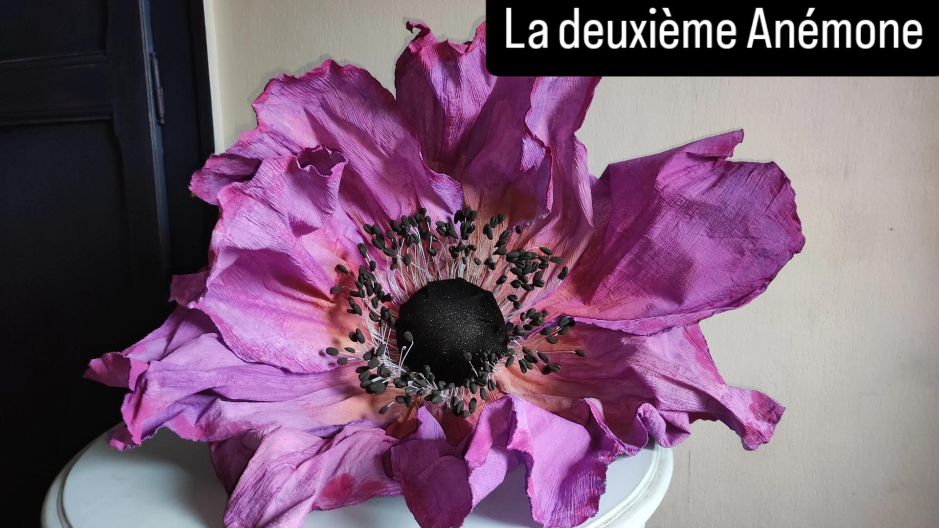 Les Flores d'Isariel 4