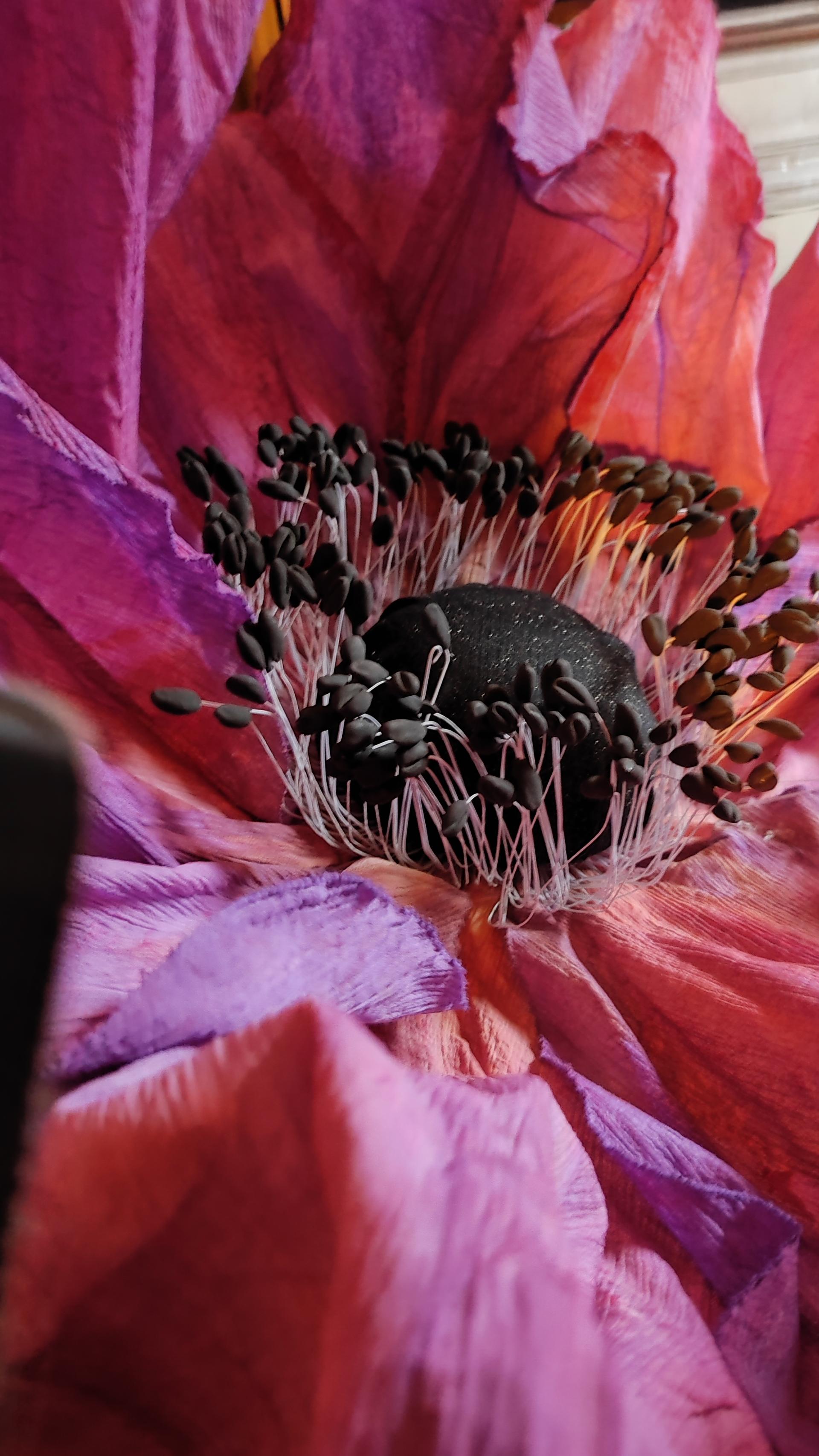 Les Flores d'Isariel 5