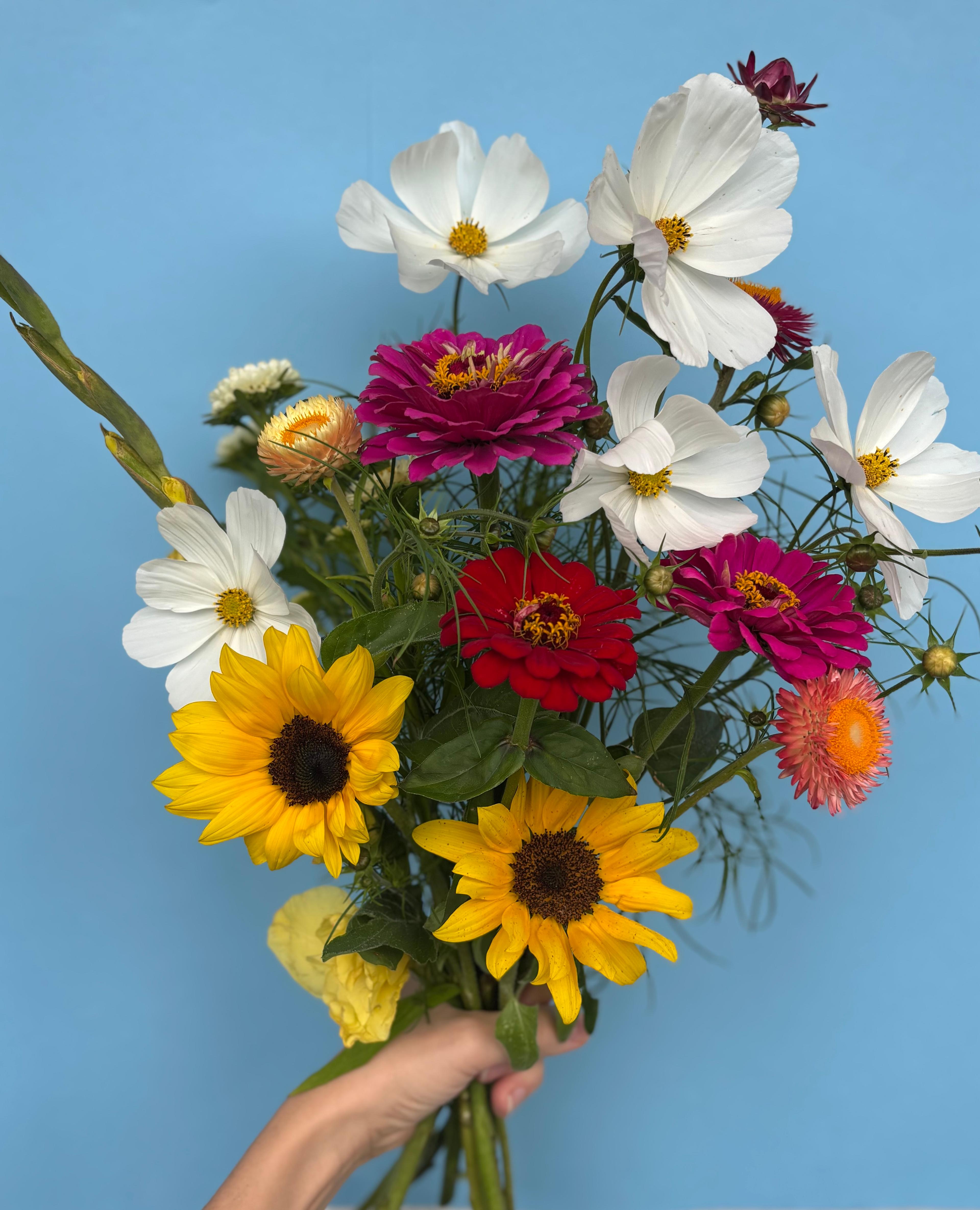 STUDIO FLEURS 2